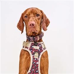 Extra Product Image