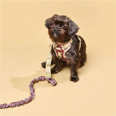 Expandable Leash Safari Leopard