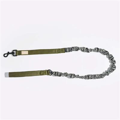 Expandable Leash Safari Zebra