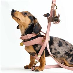Extra Product Image