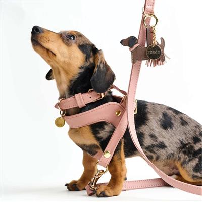 Leather Dachshund Charm Pine Green