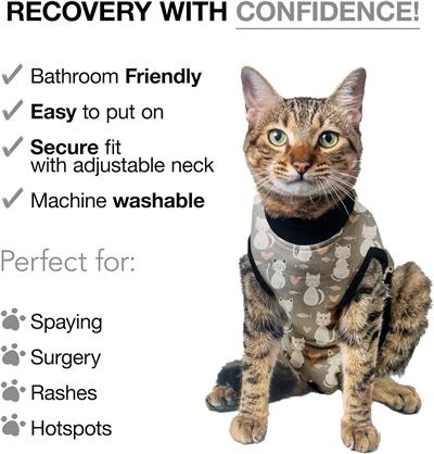 BellyGuard Recovery Suit for Cats Post Surgery- GREY