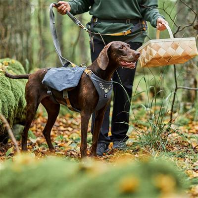 Hurtta Expedition Pack ECO