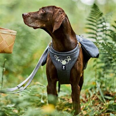 Hurtta Expedition Pack ECO