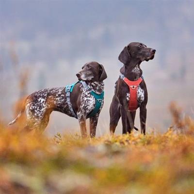 Hurtta Rover Harness