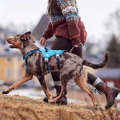 Hurtta Safeguard Harness ECO