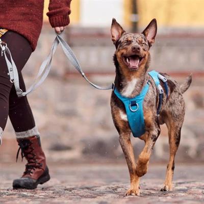 Hurtta Safeguard Harness ECO