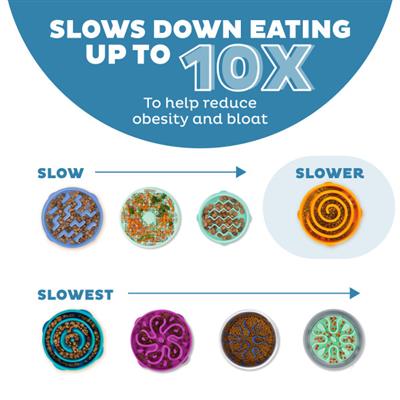 Fun Feeder Mountain Blu LG