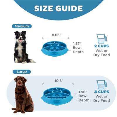 Fun Feeder Mountain Blu LG