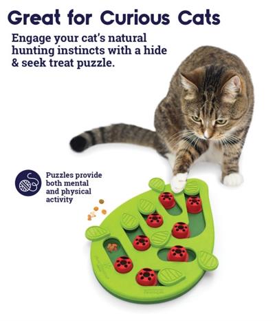 Buggin Out Puzzle & Play Cat Toy by PetStages & Nina Ottosson