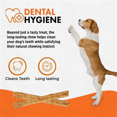 Canine Naturals Chicken Recipe Chew - 5" Stick