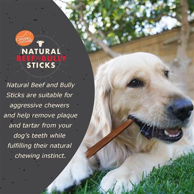 Canine Naturals Bully Chewers - Small Medium Singles (PDQ)