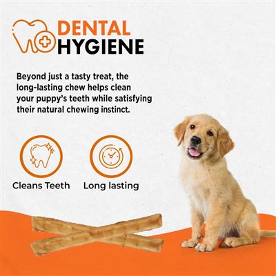 Canine Naturals Puppy Recipe Chew - 5" Stick