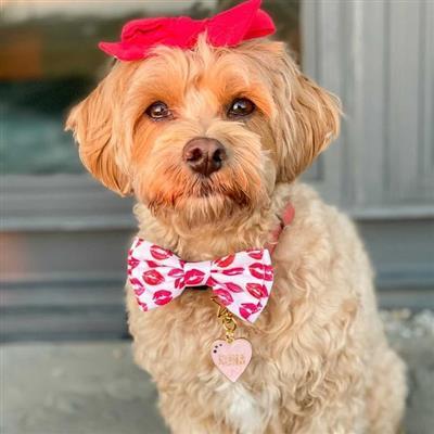 Kisses Bow Tie