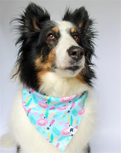 Summer Beach Dog Bandana