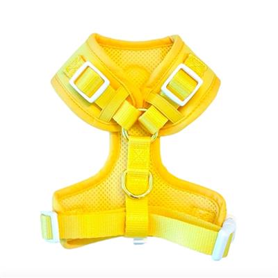 Yellow Harness