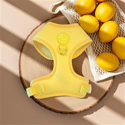 Extra Product Image