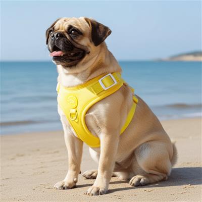 Yellow Harness