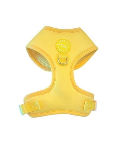 Yellow Harness