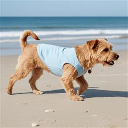 Extra Product Image