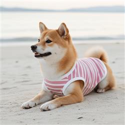 Extra Product Image