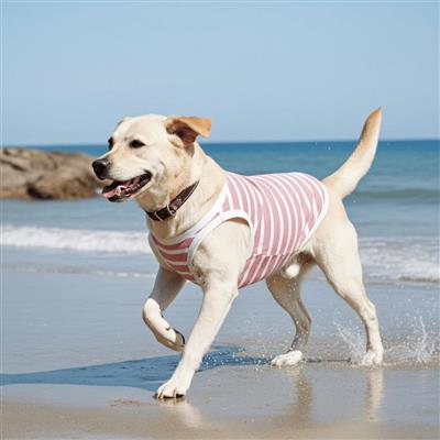 Striped Dog Tank - Sunset Stripes
