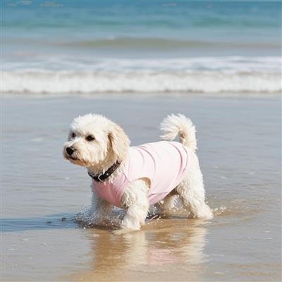 Sunblock Tank - Lilac