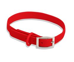 Extra Product Image
