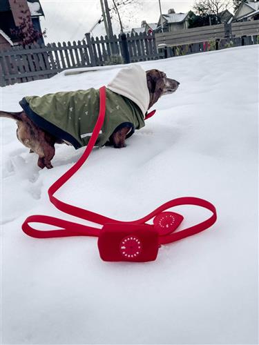 Waterproof Dog Leash - Red