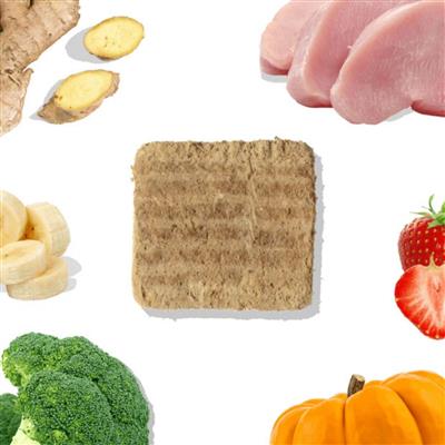 Healthy Bud Dog Freeze-dried 14oz. Turkey Patties