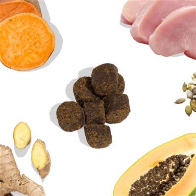 Healthy Bud Dog 4.6oz. Gut Bistro Turkey & Liver Functional Treat