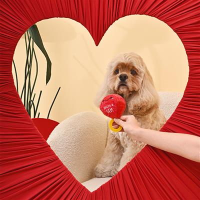 Woof Love — Vday Ring