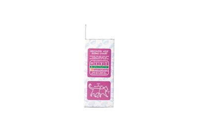 Calm Paws Recovery Vest for Cats (2 SIZES)