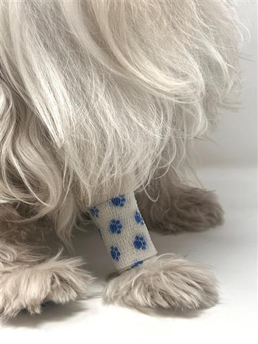 Calm Paws Recovery Self Adhesive Bandage Wrap w/ Microban+Anti Lick