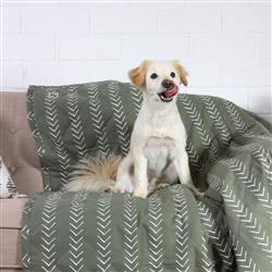 Extra Product Image