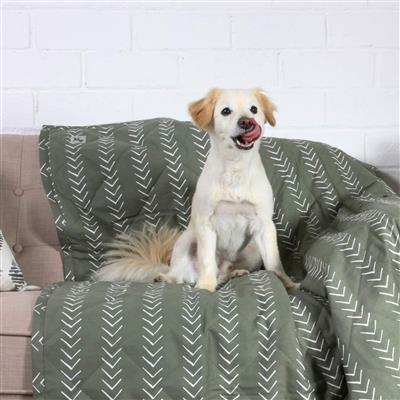 Molly Mutts Dog Cat Blanket Forever Young Large 72" x 52"