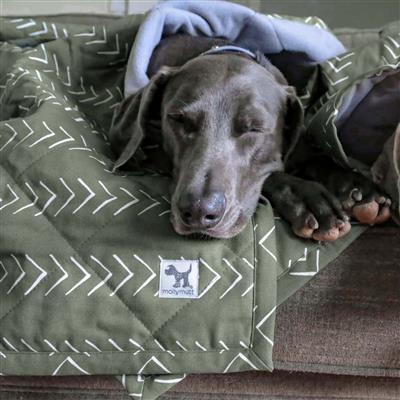Molly Mutts Dog Cat Blanket Forever Young Large 72" x 52"