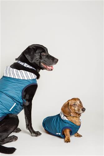 Cozy Water Repellent Dog Jacket - Midnight