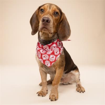 Reindeer Patrol Dog Bandana
