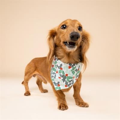 Yule Dog Bandana