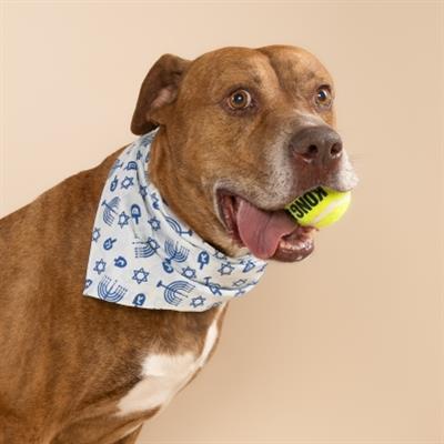 Hanukkah Dog Bandana