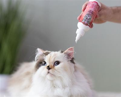 Bio-Groom Ear Mite Treatment 1oz