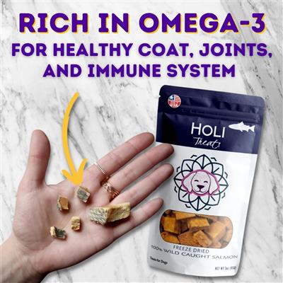Holi Dog 1.5oz. Salmon