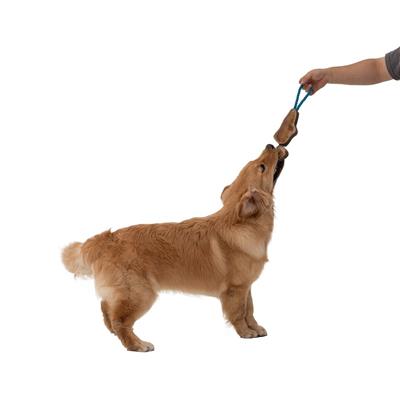 Tall Tails Natural Leather Color Jointed Trout Tug-16"