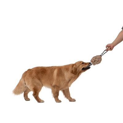 Tall Tails Natural Top Grain Leather Big Foot Tug - 16"