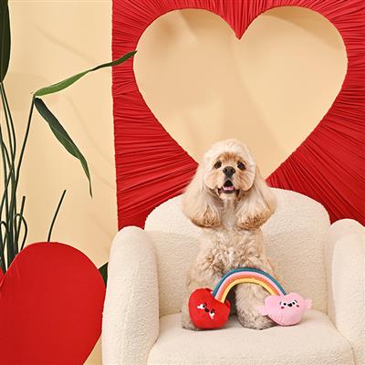 Woof Love –  Rainbow Heart