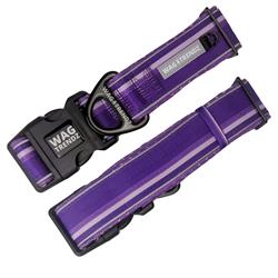 NeoCool™ Sport Dog Collar | Purple