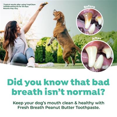 Vfresh Breath By Tropiclean Dog Enticers Gel Peanut Butter & Honey 2oz.