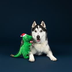 Extra Product Image