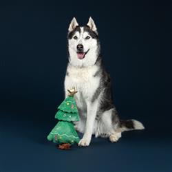 Extra Product Image